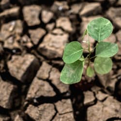 cambio climático y energías renovables audinfor system