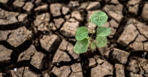 cambio climático y energías renovables audinfor system